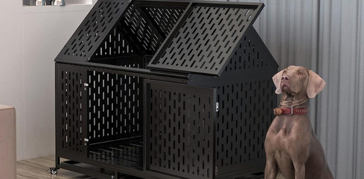 7 Unbeatable Reasons Why Aluminum Dog Crates are the Perfect Choice for Your Pet