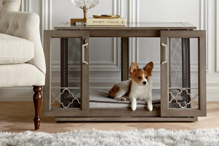 5 Powerful Reasons You Need an Inescapable Dog Crate