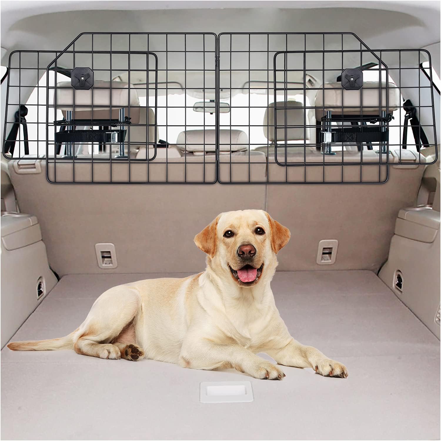 SUV dog crates