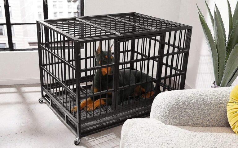 5 best dog crates for high anxiety dogs