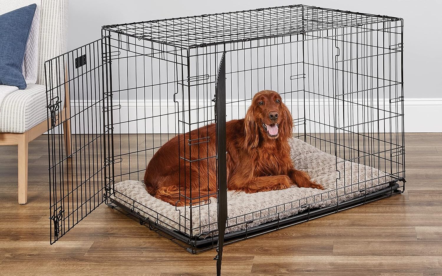 best dog crates for high anxiety dogs