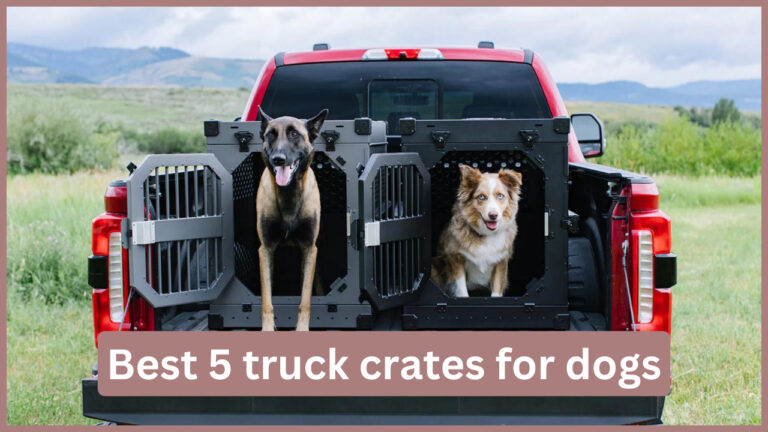 Best 5 truck crates for dogs