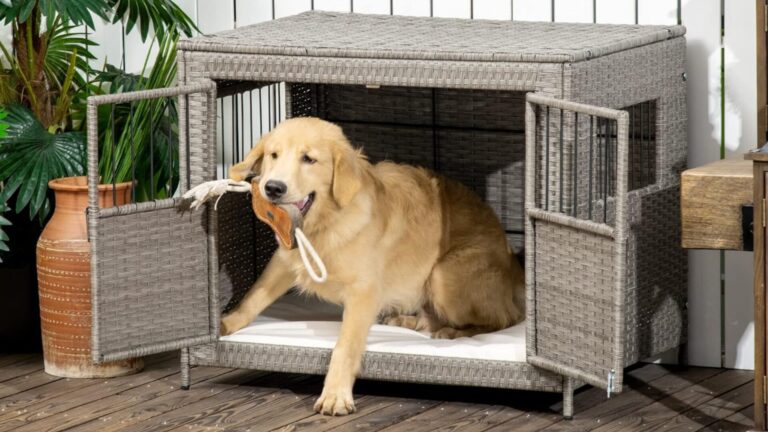 10 Outstanding Features of the Wicker Dog Crate: Positive Review